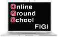 Gleim Online Ground School for Flight/Ground Instructor