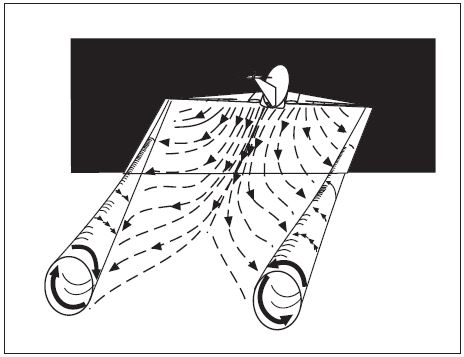 A graphic depicting wake vortex generation.