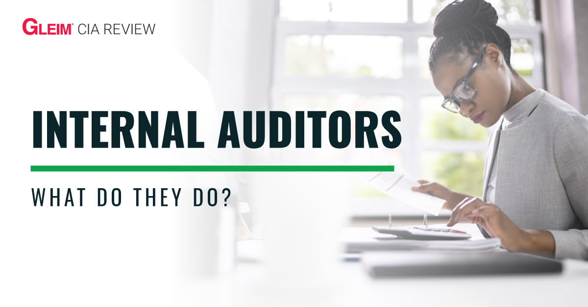 Internal Auditors | What do they do?